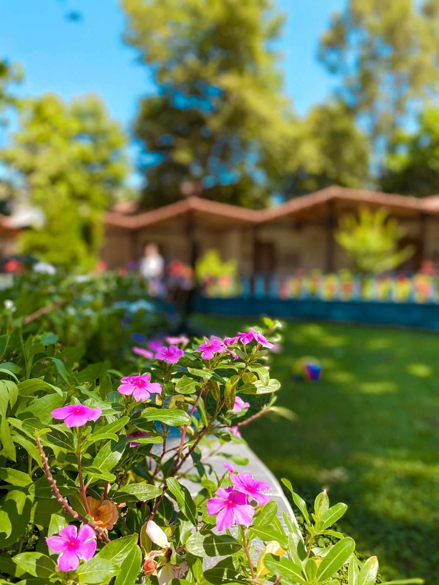 Likya Adrasan Otel Exterior foto